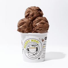 Merry Moo Ice Cream Scandalously Chocolate